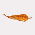 Borosilicate Glass Mango Leaf – Clear 240mm | Lighting Component for Chandeliers