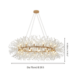 Jagmag Lights Dandelion Chandelier with K9 Crystal, 29.5-Inch, for Living Room - Fancy and Decorative lights - Brand name jagmag lights