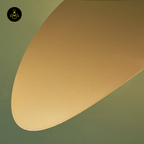 Beautiful Curved Pendant – Gold Finish Design | Modern Pendant Light | Jagmag Lights