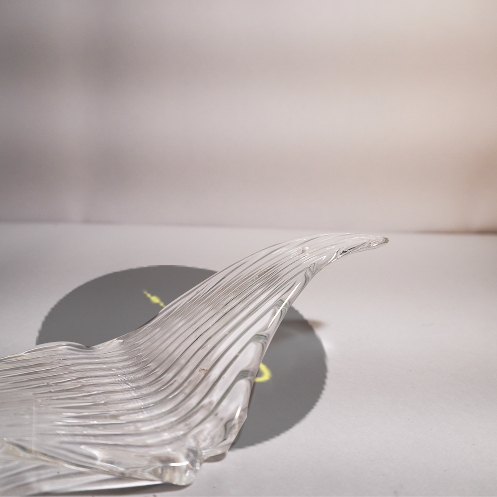 Clear Borosilicate Glass Bird Wings – 220x80mm | Lighting Component for Chandeliers | 100 pcs per box