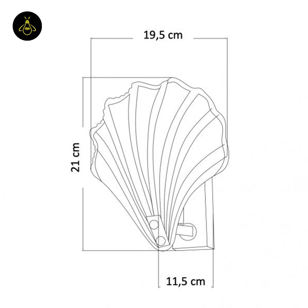 Stainless Steel & Glass Wall Lamp – Gold Shell Design | Decorative Wall Light for Living Room, Hallways | Jagmag Lights