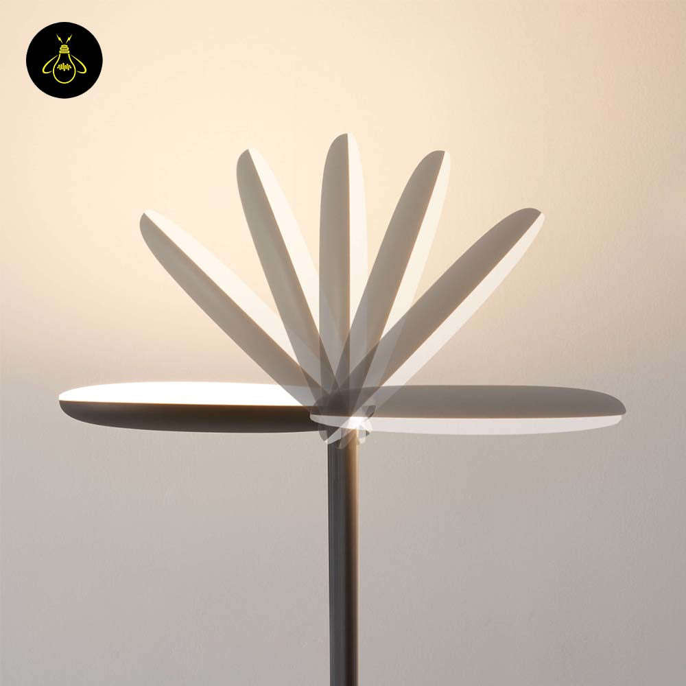 Matte Black Aluminum Floor Lamp – Adjustable Head, Dimmable | Black Floor Lamp for Living & Bedroom | Jagmag Lights