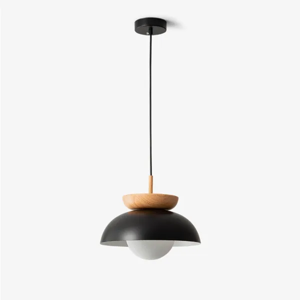 Dome pendant light with matte black stainless steel shade, teak wood collar and opal borosilicate glass globe on a black ceiling canopy