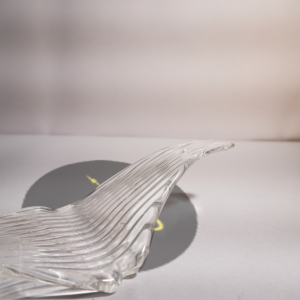 Borosilicate Glass Bird Wings – Chandelier Glass Component, 220×80mm (100 pcs)