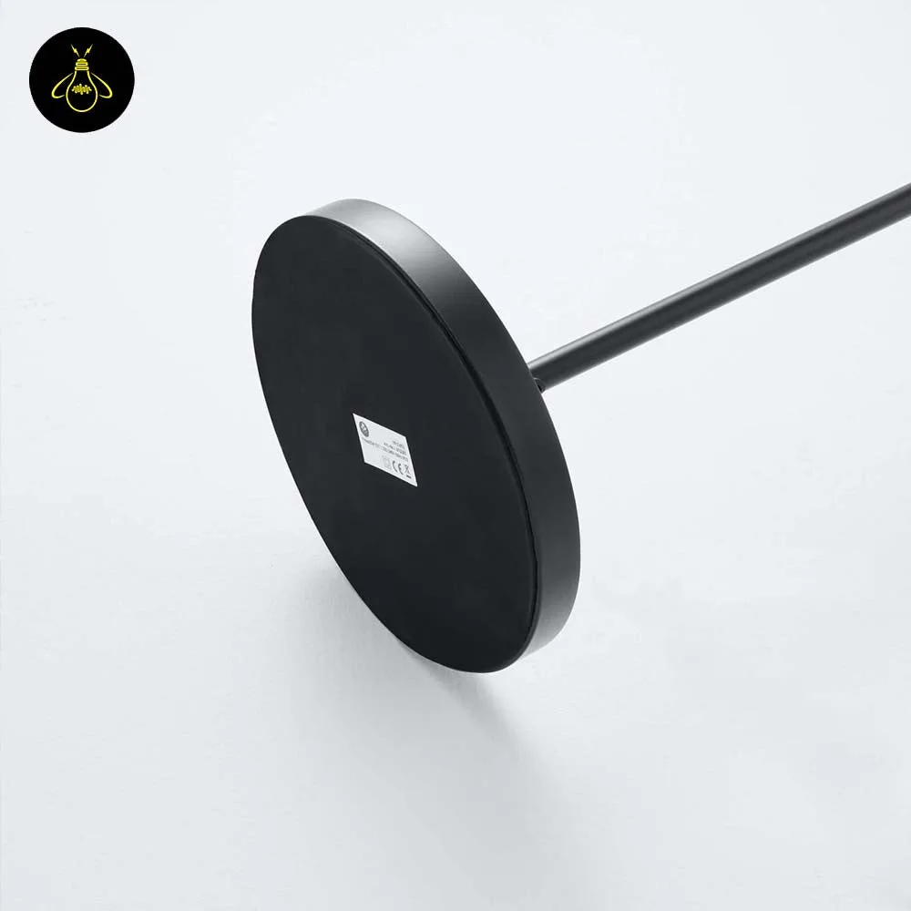 Black Amber Glass Floor Lamp – Modern Teardrop Shade | Ambrosia 11 Black amber glass floor lamp with teardrop shade on a plain background