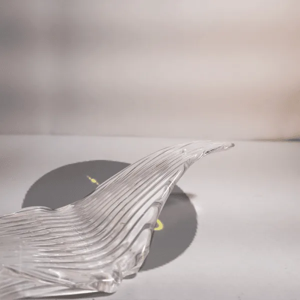 Side profile of clear borosilicate glass bird-wing chandelier component on flat surface – Jagmag Lights