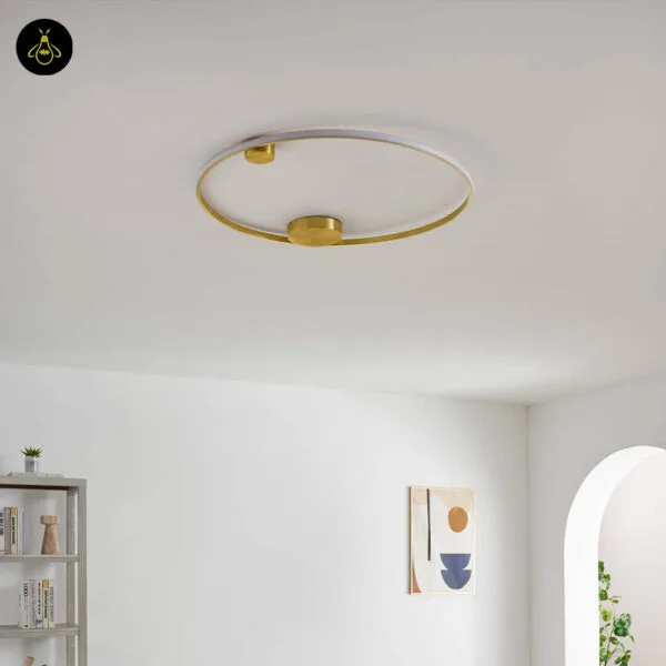 Round brass LED ring fixture in an office