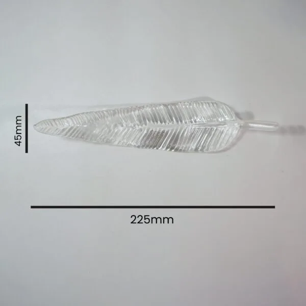 Clear borosilicate glass leaf 220mm, detail of leaf shape