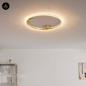 Brass Finish Metal LED Ceiling/Wall Light – Ultra-Minimalist Circle | Dimmable Lighting for Living, Dining & Bedroom | Jagmag Lights