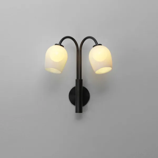 Gooseneck wall sconce lit warm, two opal borosilicate glass domes on dark bronze stainless steel arms against a grey wall
