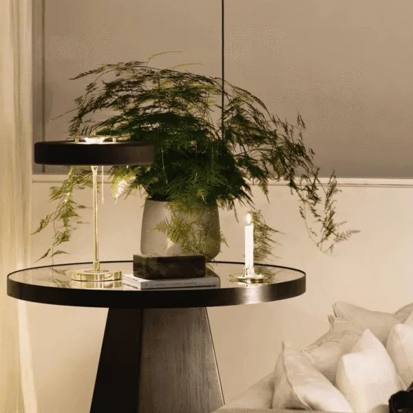 Retro study lamp on a round glass side table with a fern, in a softly lit living room