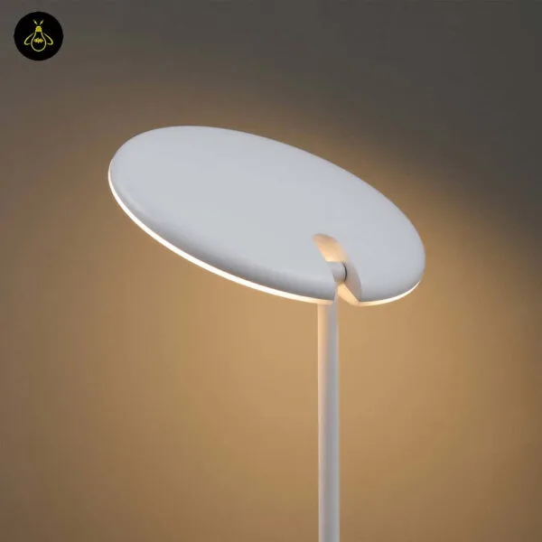 White LED floor lamp with adjustable head shown upright on a flat surface